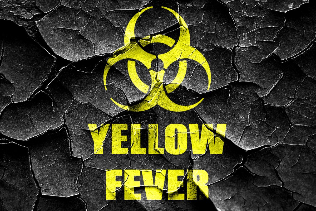 Yellow Fever: Overview, Causes, Symptoms, Diagnosis, and Treatment - HTV