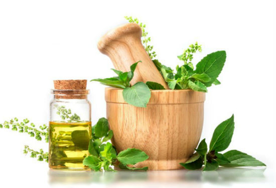 6 Ways Oregano Makes Your Immune System Strong6