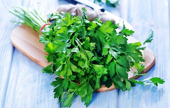 parsley-for-stomach-gas