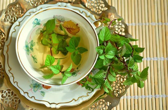 Mint Leaves (Poodina) 1