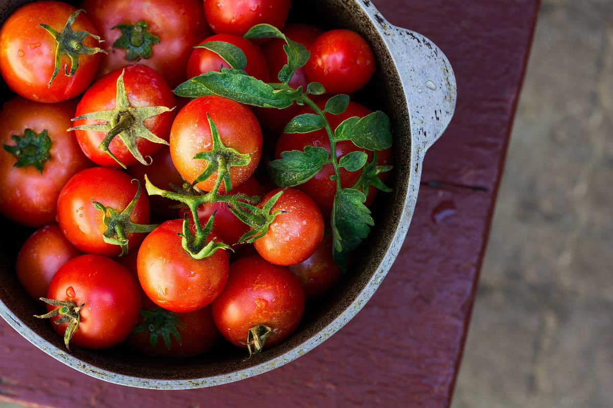 Tomatoes: Juicy Red Powerhouses of Health?